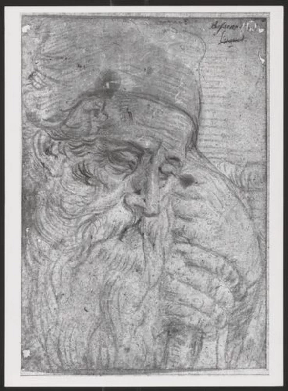 Francesco Bassano-152-Studio di vecchio